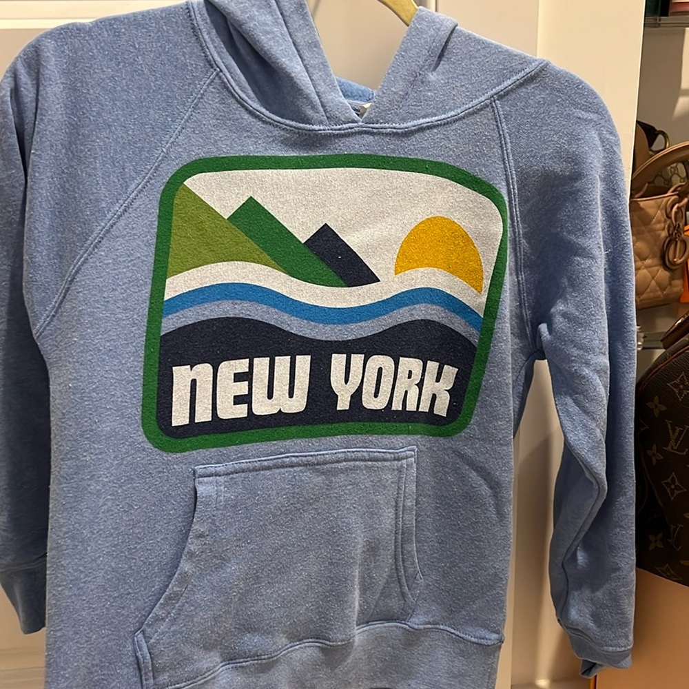New York hoodie from Harriman state park - child’s medium